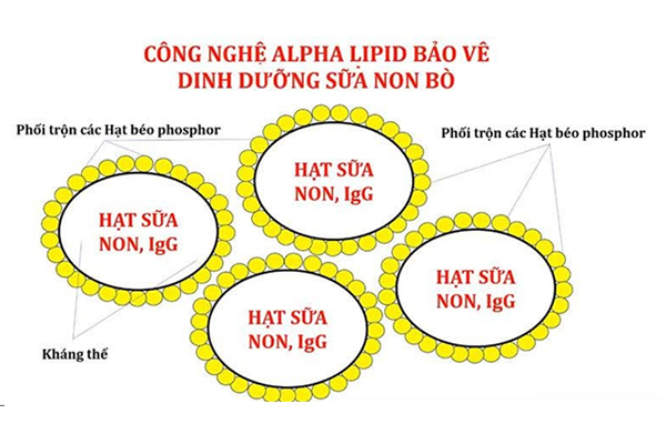 Công nghệ Alpha Lipid của New Image